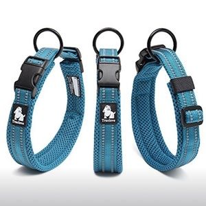 Blue dog collar